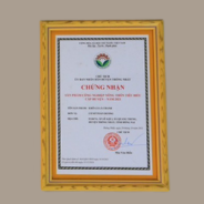 Cơm Cháy Khô Gà